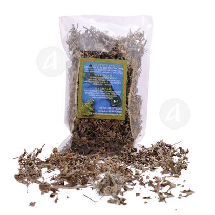 Marjoram